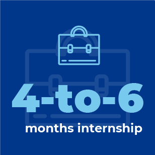4-to-6 months internship
